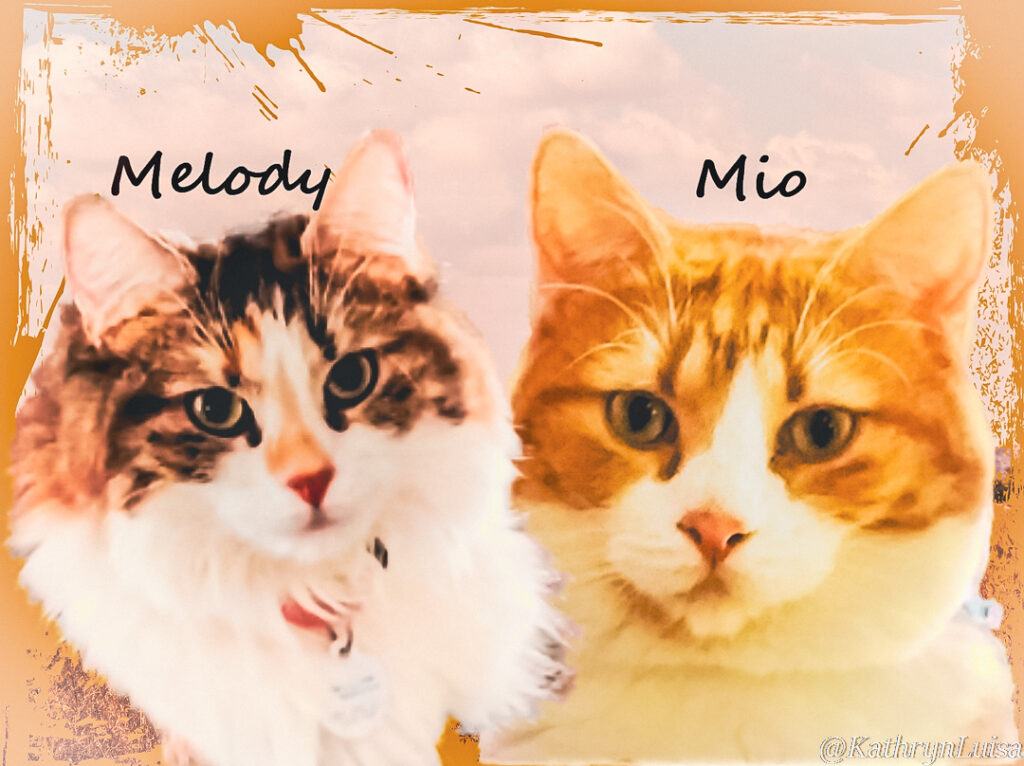 mio and melody